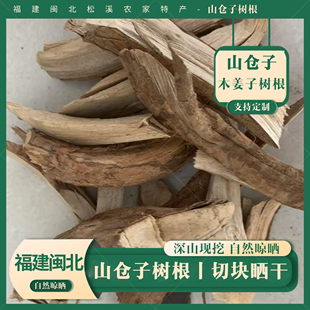 福建野生山仓子根500g闽北松溪农家山鸡椒根木姜子根手工切断晒干