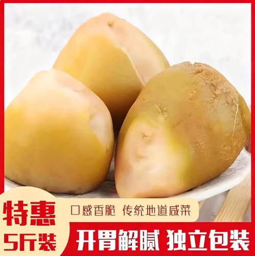 邯郸原味咸菜疙瘩大缸腌制新鲜芥菜丝大头菜辣旮瘩开胃下饭