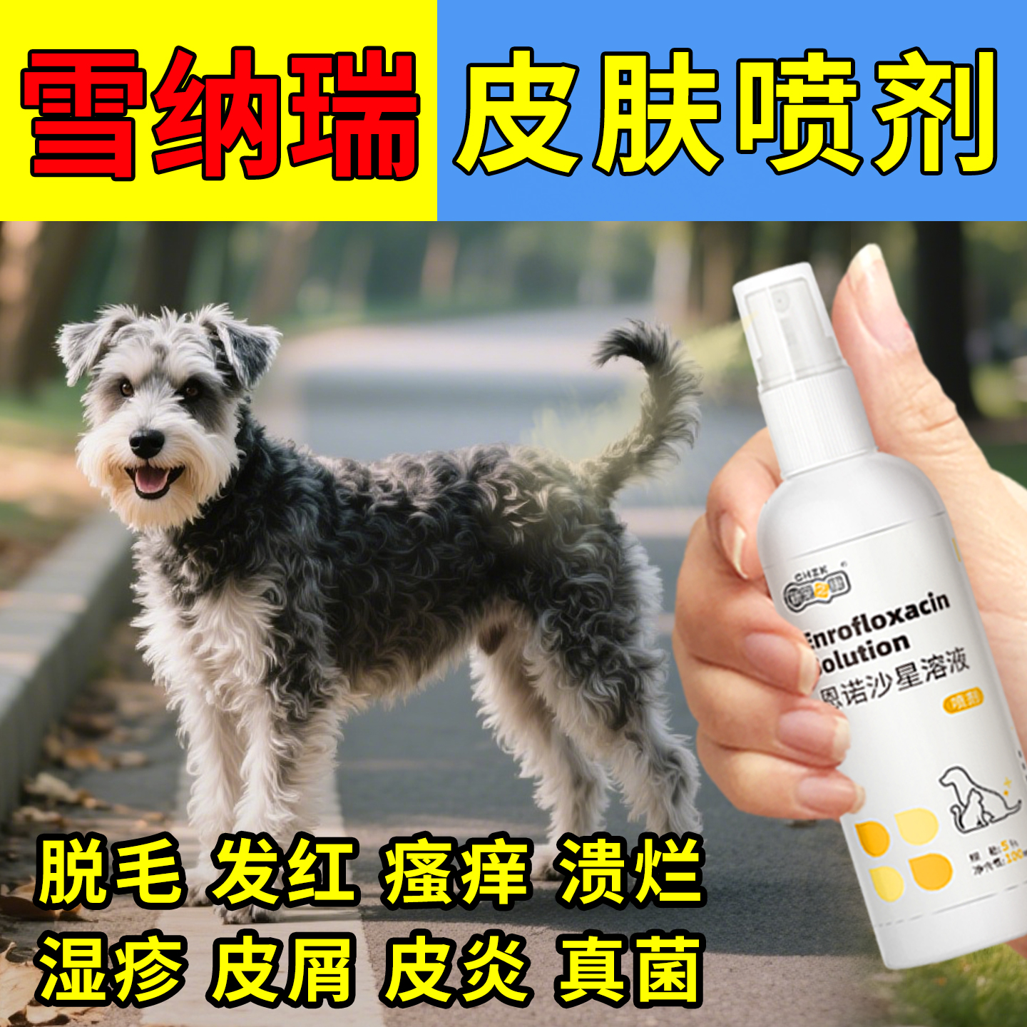 雪纳瑞狗狗皮肤病真菌感染狗癣脓皮溃烂耳螨宠物恩诺沙星皮肤喷剂