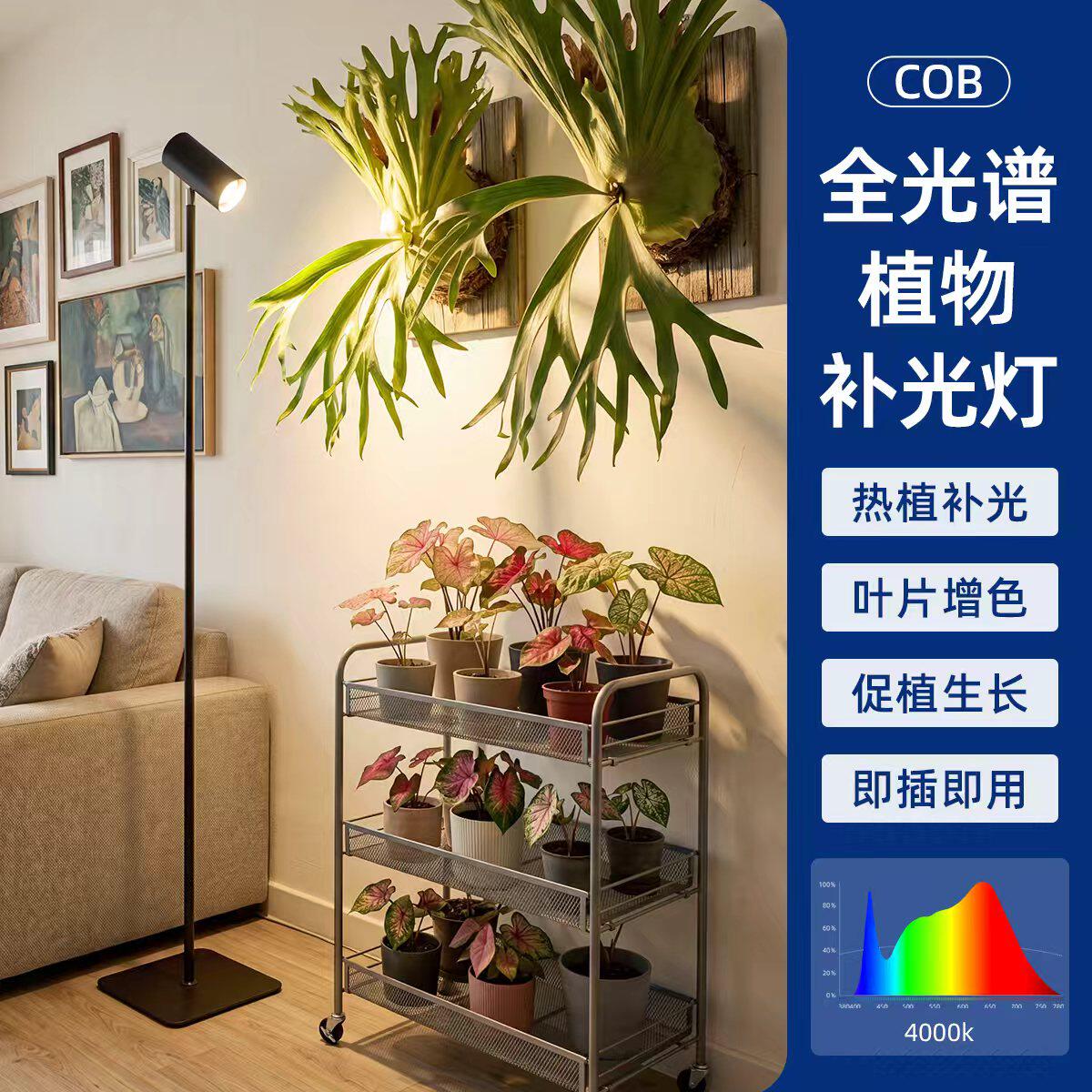 光合力量补光灯植物仿太阳全光谱模拟太阳光灯室内多肉绿植生长灯图片