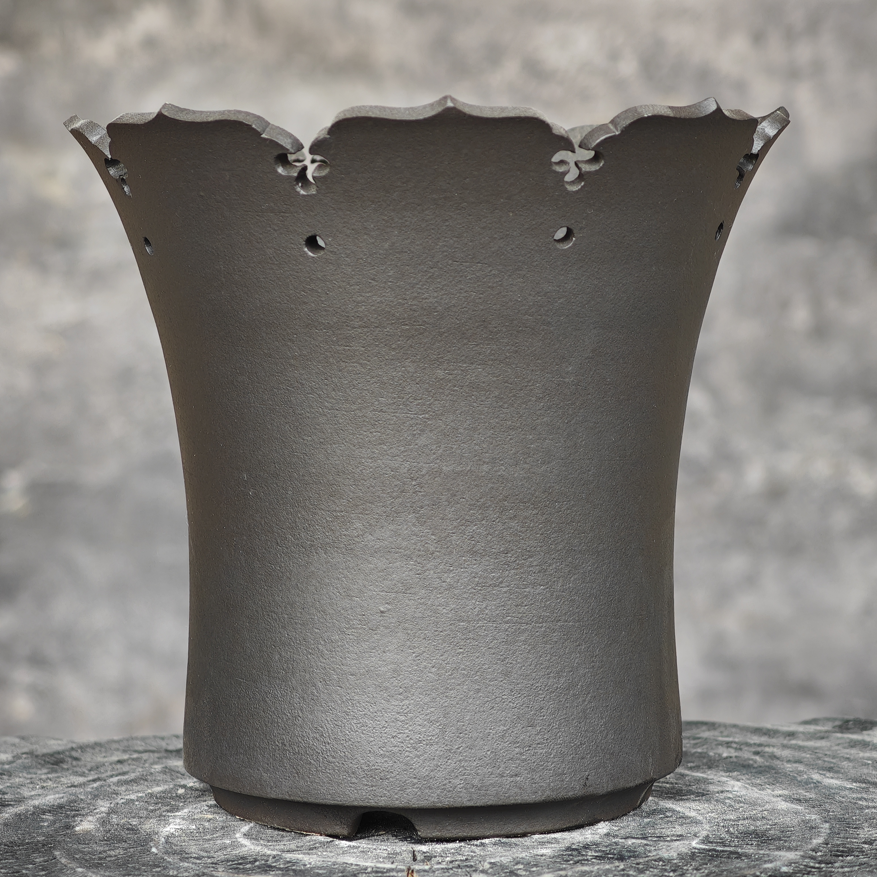 中号花口种植龙舌兰龟甲龙象芽宫惠比大黑魔界有玉陶瓷块根花盆