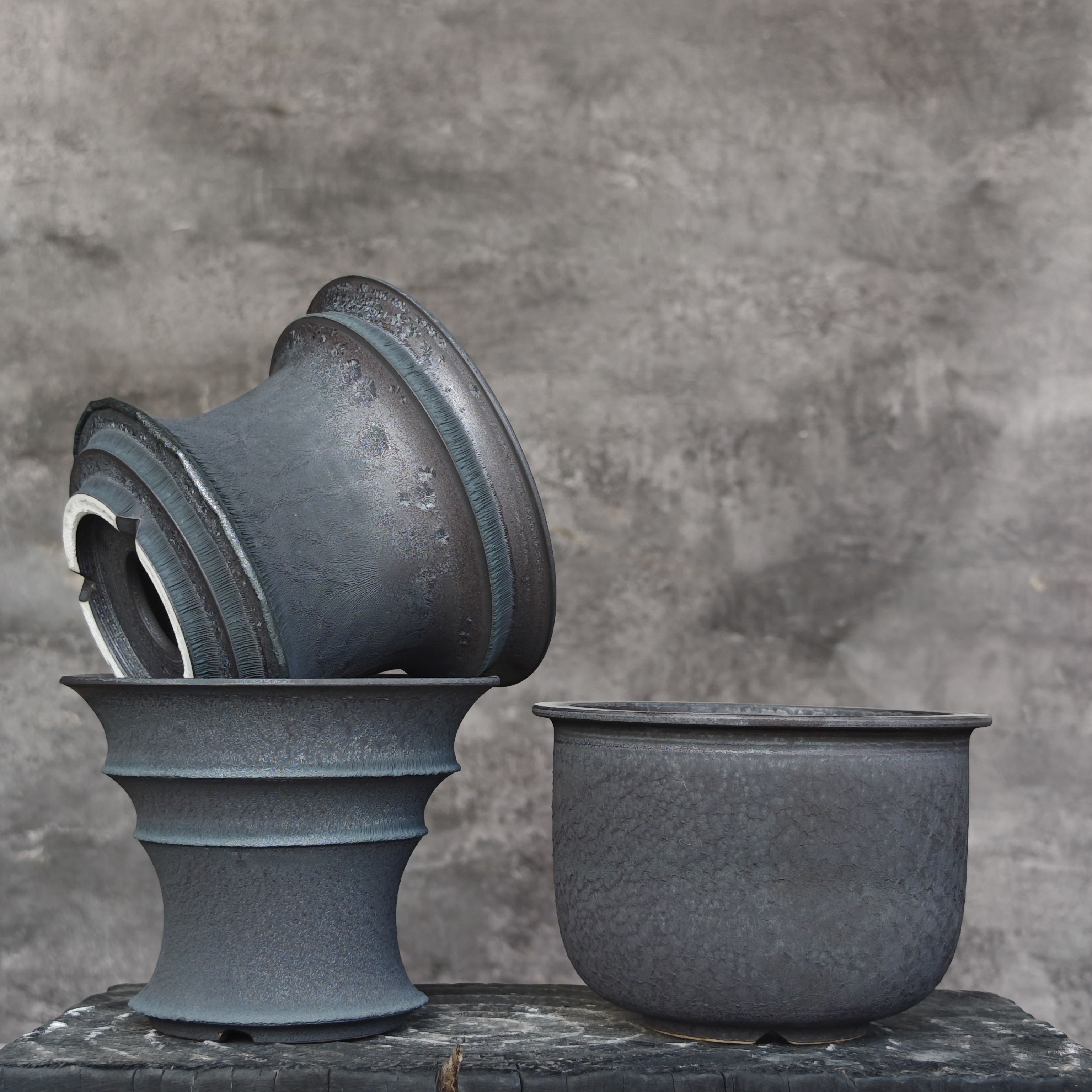 块根花盆 中号褶雾灰集合 龙舌兰龟甲龙象足漆树植物陶瓷盆透气