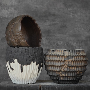 纹理合集 景德镇全手工陶瓷多肉仙人球龟甲龙象芽宫植物块根花盆