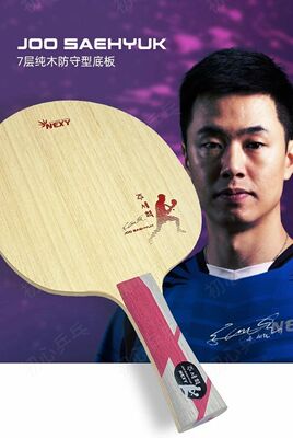 朱世赫防守型打法乒乓球