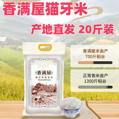 香满屋猫牙米茉莉香米杨盛20斤
