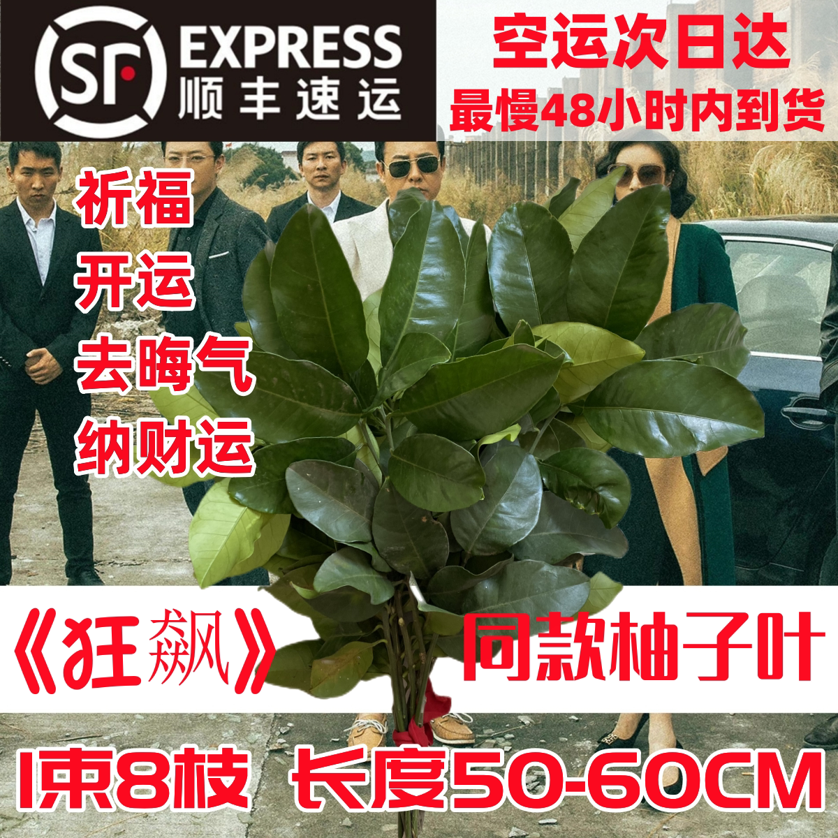 新鲜柚子树叶柚子叶转运去晦气祈福纳财运乔迁新居出狱开运沐浴树