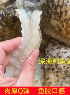 渔民自晒刺龟皮已拔刺刺龟鱼皮干刺豚皮无刺鲍鱼海味干货煲汤食材