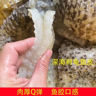 渔民自晒刺龟皮已拔刺刺龟鱼皮干刺豚皮无刺鲍鱼海味干货煲汤食材