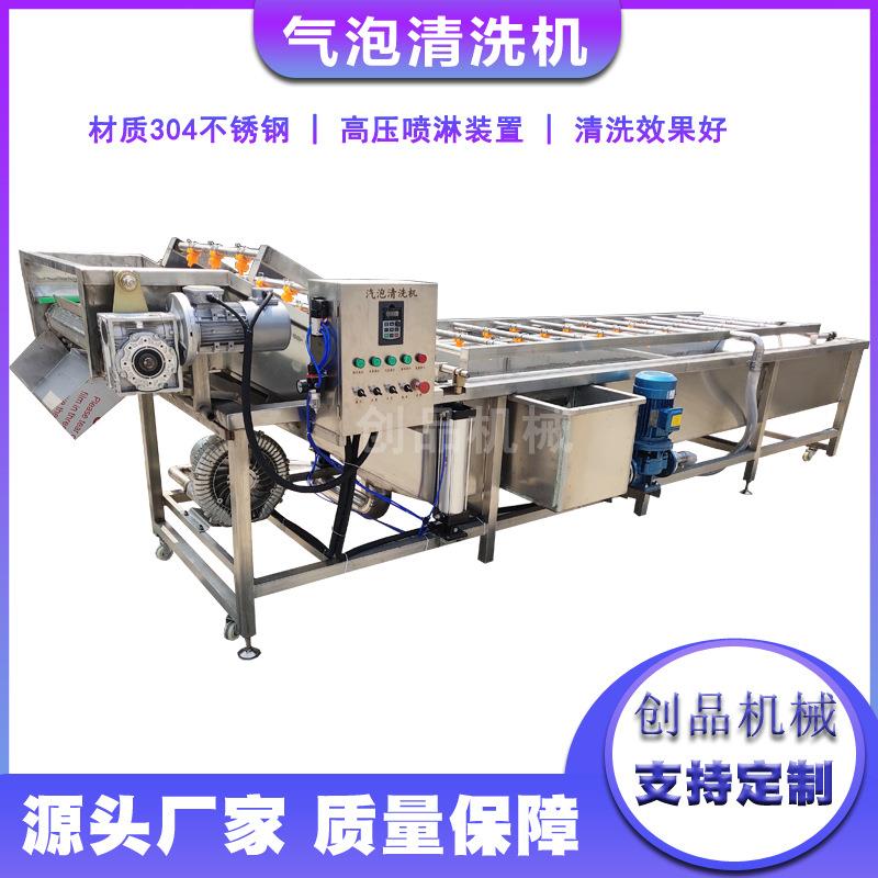 蔬菜清洗机荔枝气泡清洗机果蔬清洗设备柠檬杨桃气泡清洗机