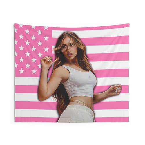 Tate McRae Pink American Flag旗帜背景布室内装饰