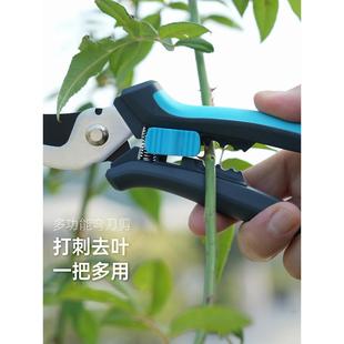 德国园艺剪刀剪树枝修剪植物盆栽花艺修枝剪雪柳花园修花家用花剪