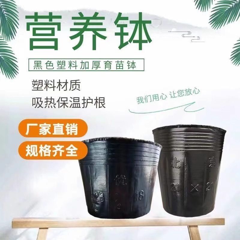 营养杯育苗盆育苗袋育苗杯育苗盒营养袋加厚黑色一次性塑料杯大号