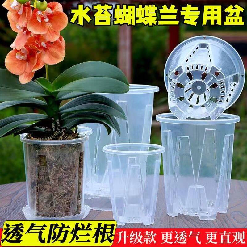 透明新款花盆石斛兰花控根水苔透气青山镂空控根盆蝴蝶兰塑料专用