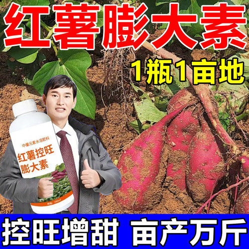 红薯宝宝红薯控旺膨大素增产增甜