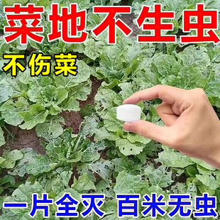 菜地防虫片 蔬菜园艺防虫驱虫药家庭花卉植物通用防虫片 永无虫