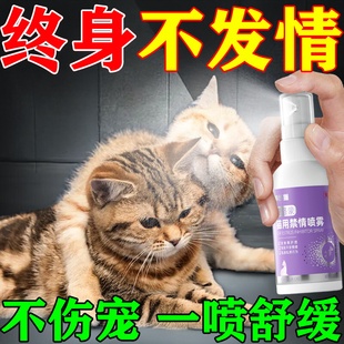 费洛蒙猫用喷雾剂猫咪发情抑制公母猫专用防应激乱尿嚎叫安抚情绪