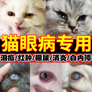 猫眼药水猫咪滴眼液泪痕眼睛发炎流泪猫用消炎宠物狗狗硫酸新霉素