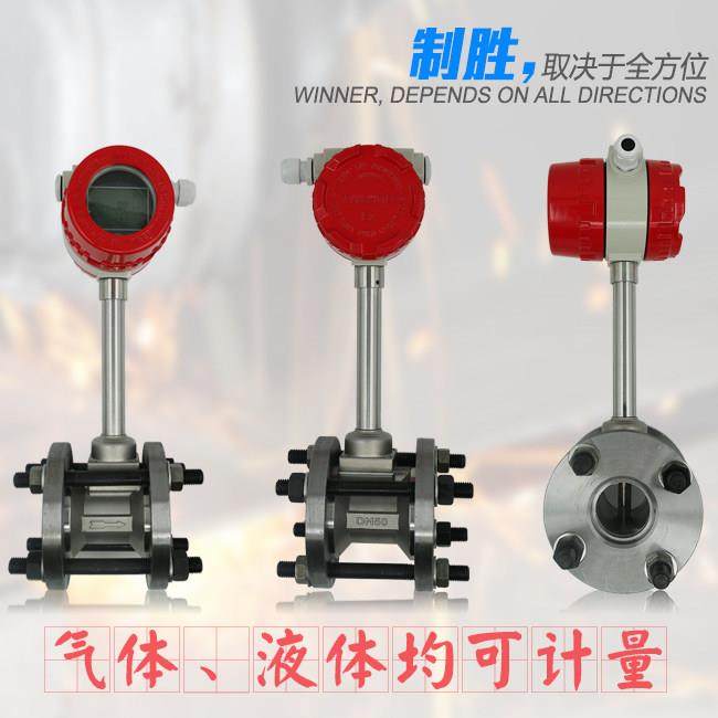 高精度蒸汽沼气涡街流量计气体液体压缩空气瓦斯管道氮气流量表