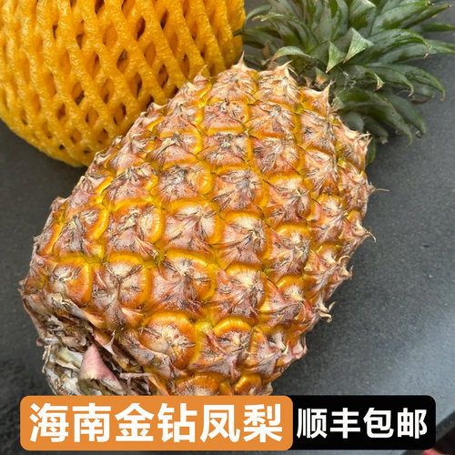 海南金钻凤梨顺丰包邮