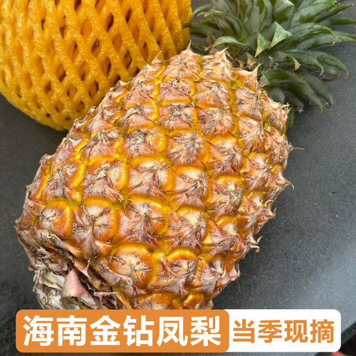 一口爆汁！甜到犯罪的金钻凤梨