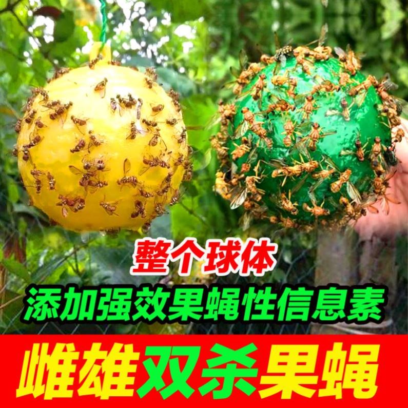 粘虫球瓜果园大小实蝇丝瓜柑橘大实蝇诱蝇球杀针蜂贴果蝇诱捕神器