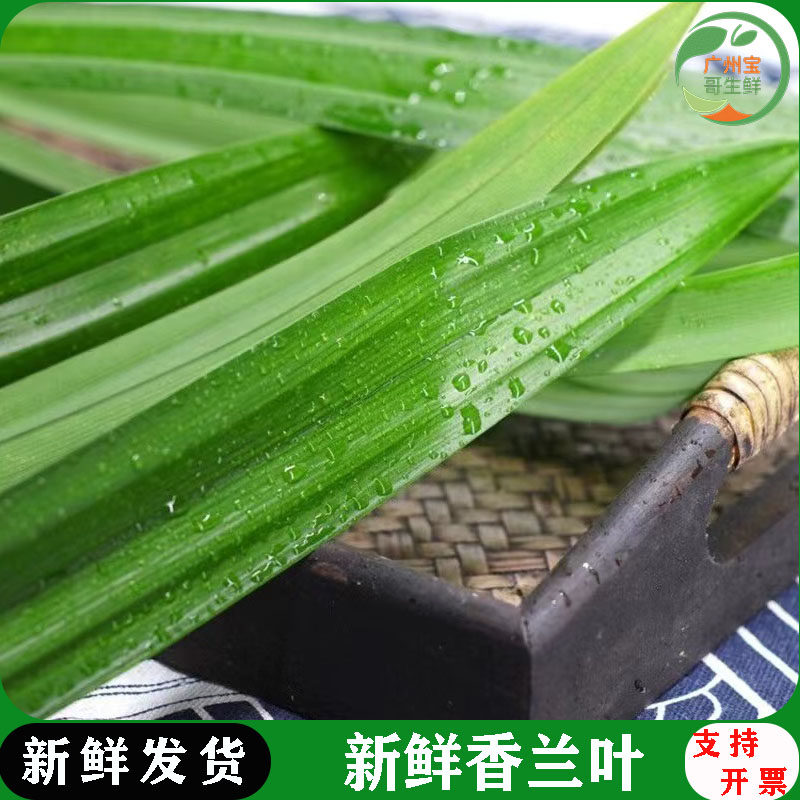 新鲜斑斓叶食用香兰叶烘焙千层蛋糕芒果糯米饭调味糕点食材原料