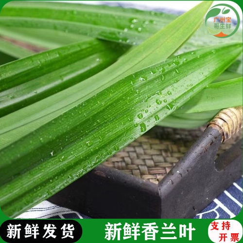 香兰叶新鲜斑斓叶芒果糯米饭