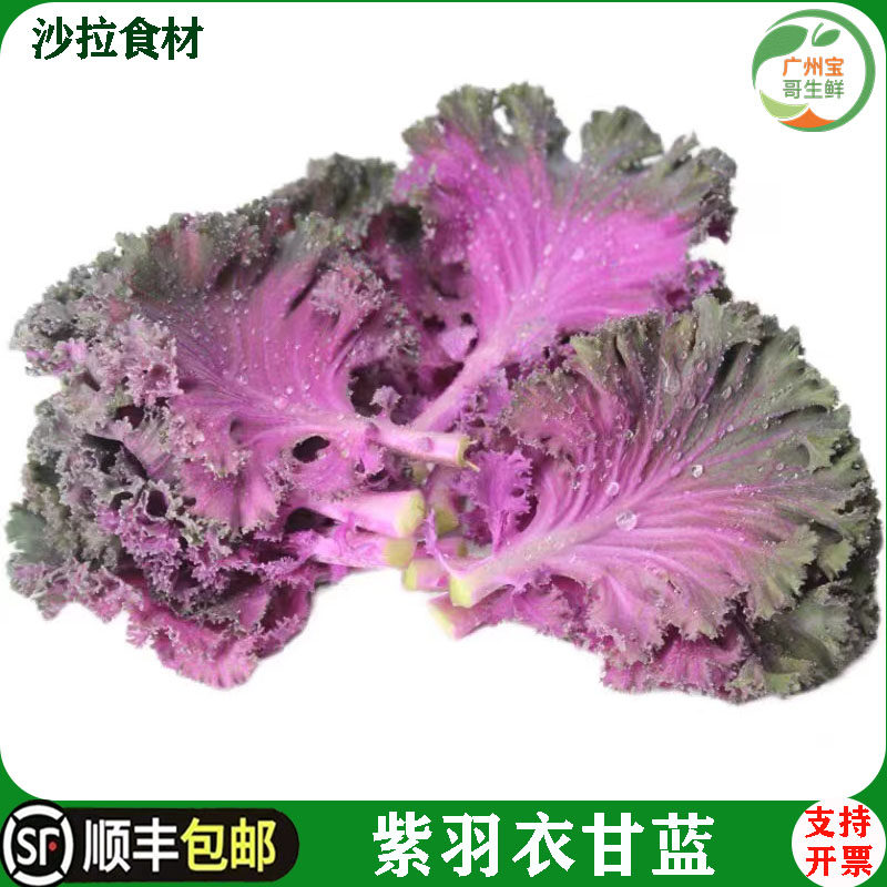 紫色羽衣甘蓝榨汁沙拉食材紫甘蓝叶子雨衣甘蓝叶沙拉蔬菜新鲜蔬菜,水产肉类/新鲜蔬果/熟食,叶菜类,淘宝优惠券,粉丝福利购,淘宝优惠卷
