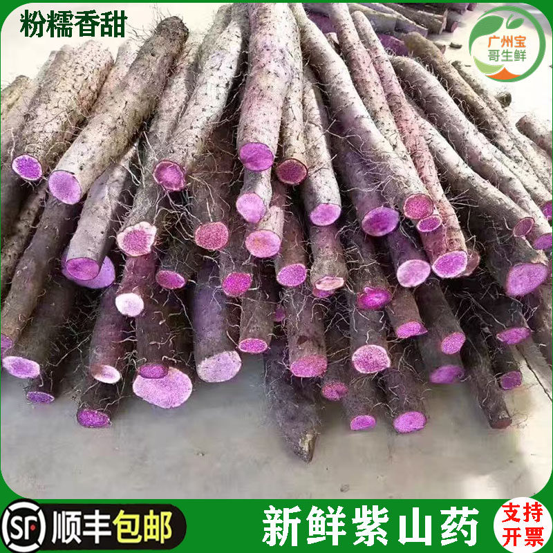 新鲜紫山药  现挖德庆紫大薯紫淮山长山药高品质酒店食材紫薯粉糯