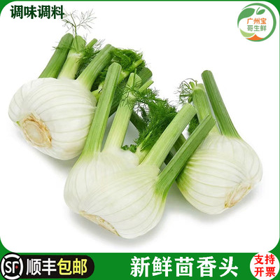 西餐食材茴香头新鲜西餐配料