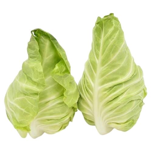 云南高山牛心甘蓝牛心包心菜莲花白菜农家蔬菜新鲜现摘包邮绿叶菜,水产肉类/新鲜蔬果/熟食,叶菜类,淘宝优惠券,粉丝福利购,淘宝优惠卷