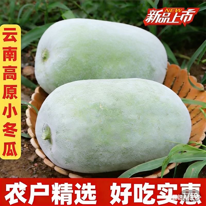 云南新鲜小香冬瓜水果冬瓜鲜嫩多汁现摘应季果蔬农家种植