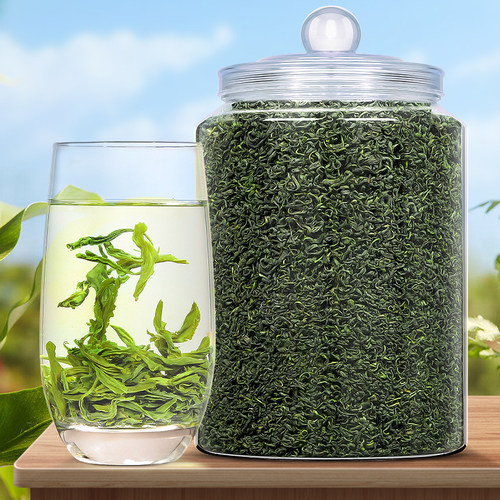 高山云雾绿茶浓香耐泡型1200g
