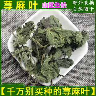 荨麻叶 四川活麻草叶子250g包邮 干货蜇人草咬人草蝎子草泡茶煎药