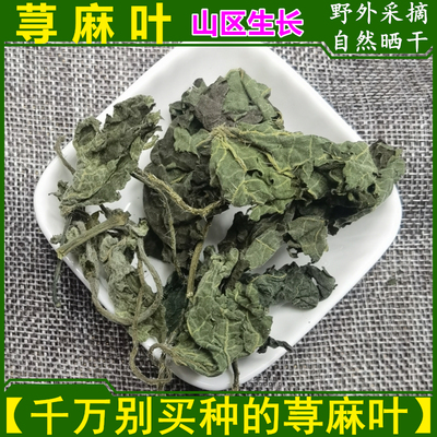 活麻叶子荨麻叶山野干货包邮