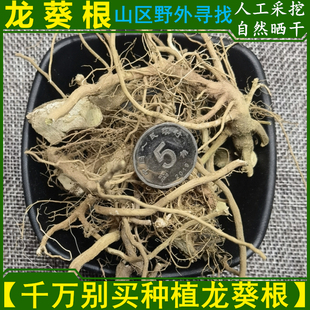 干货龙葵根 酸溜子棵龙槐根500g包邮 新鲜龙葵草根煎汤内服中药材