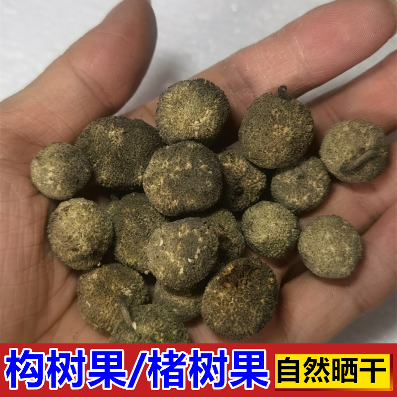干构树果 采摘野楮树构桃树构乳树青果子晒干可泡酒入药250克包邮