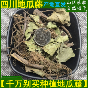 野地瓜藤 干货地板藤地瓜茎叶500g包邮 四川地果地瓜泡藤叶中药材