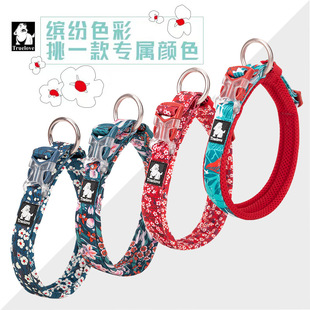 Truelove宠物项圈牵引绳狗狗颈圈脖圈狗链小中大型犬泰迪金毛