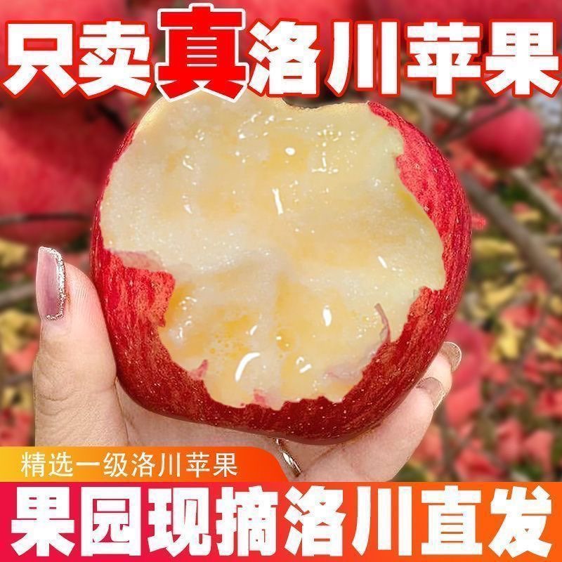 陕西正宗洛川苹果新鲜水