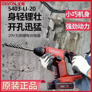 大有充电式轻型电锤家用多功能电钻混凝土锂电冲击钻小型电捶5403