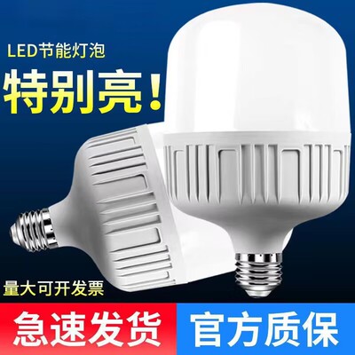 【10年坏了包换新】超亮LED灯泡
