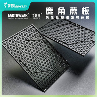 花信鹿角蕨板种植板附生植物专用壁挂板防霉防开裂树脂耐用高颜值