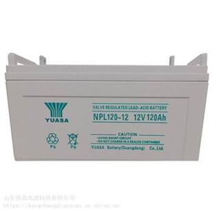 汤浅蓄电池NP120-12 12V120AH消防照明 UPS电源配套 EPS直流屏