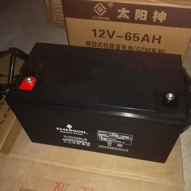 维谛蓄电池U12V230L/A 12V65ah太阳能直流屏EPS蓄电池