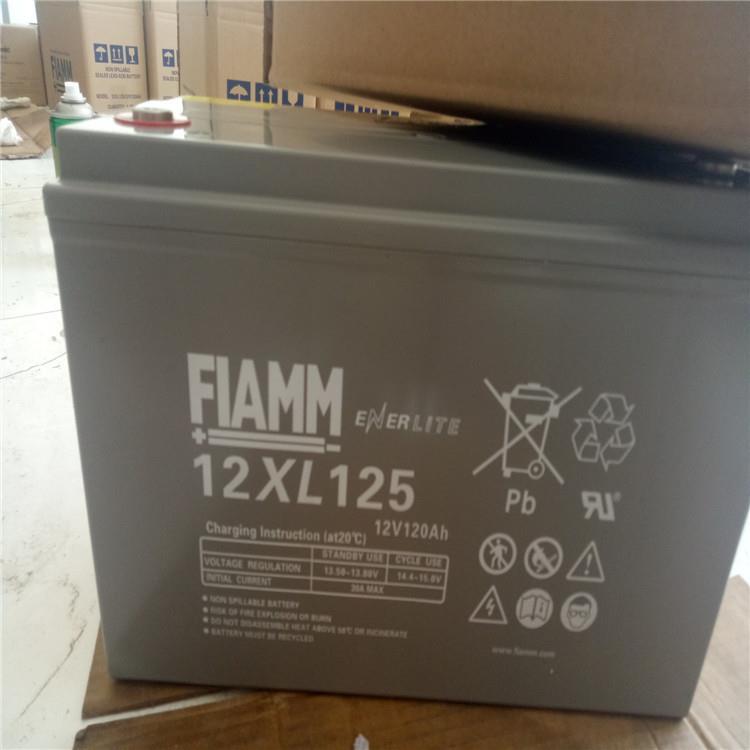 FIAMM蓄电池12XL125直流屏电池12V120AH机房通信免维护蓄电池