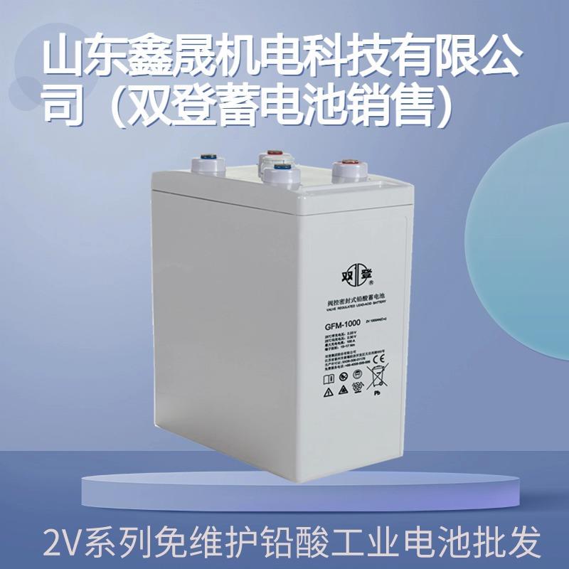 蓄电池GFM-1000 2V1000AH 船舶 直流屏 医疗设备电瓶，三年质