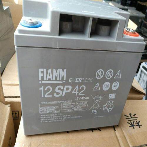 FIAMM非凡蓄电池12SP42意