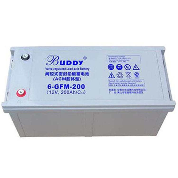 BUDDY阀控式蓄电池6-GFM-200足容量 长寿命12V200Ah 质保三年