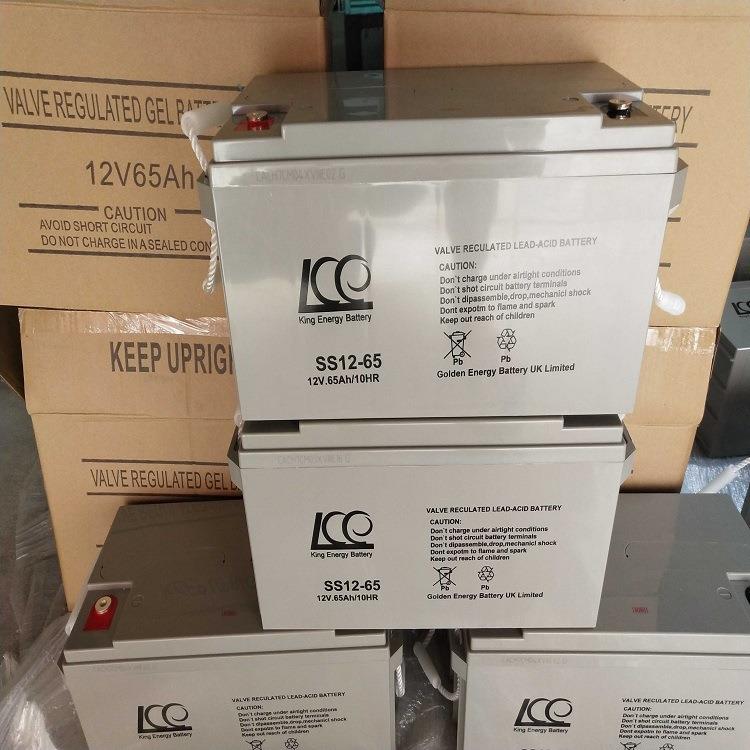 现货SS12-65直流屏UPS电源配套12V65AH免维护蓄电池